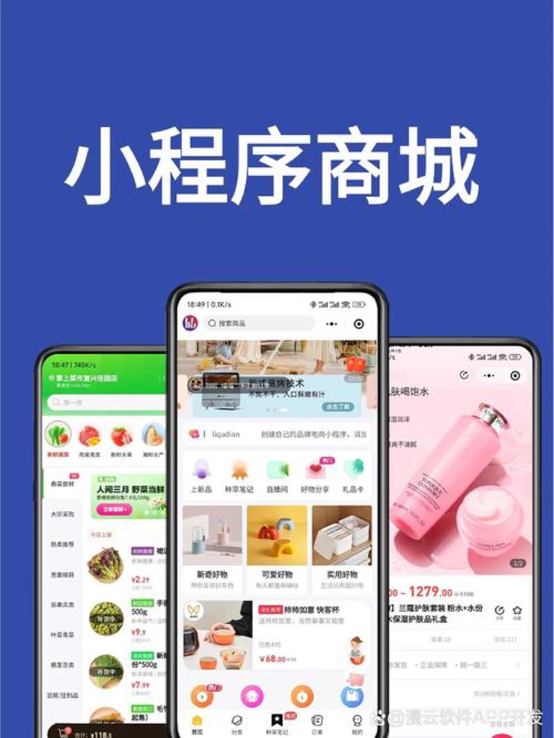 如何为您的业务选择最佳的APP开发服务